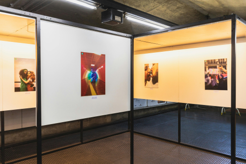 Premium Digital Art Collections: Curated Insights