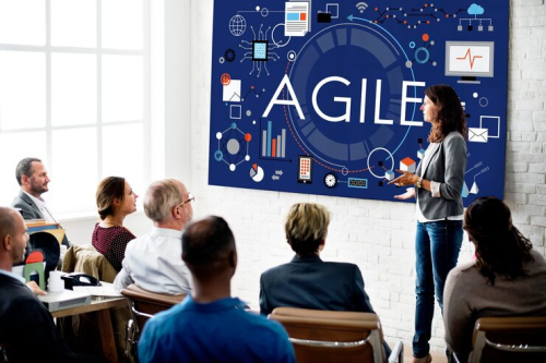 Agility & Continuous Learning in Modern Org Culture